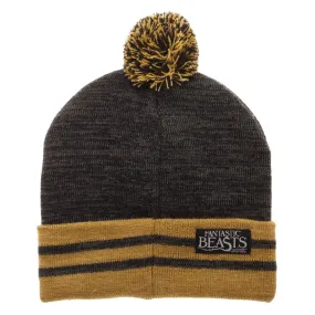 Fantastic Beasts Newt Scamander Pom Beanie